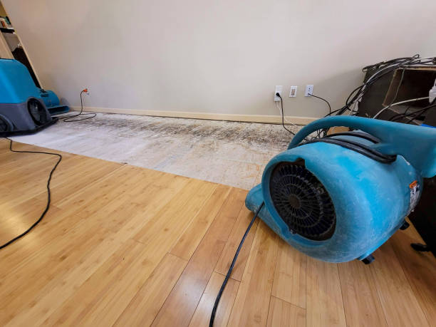 Professional Structural Drying technician working in Coulee City, WA